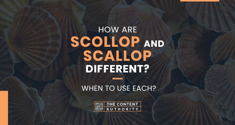 How Are Scollop And Scallop Different? When To Use Each?