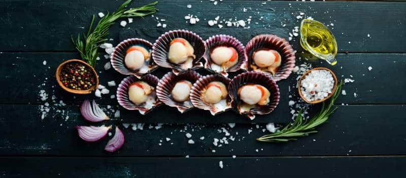 seasonedscallops