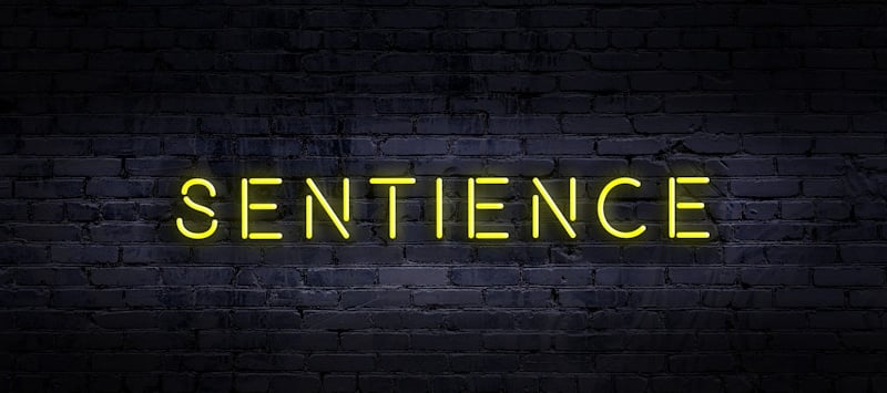setience spelled in neon
