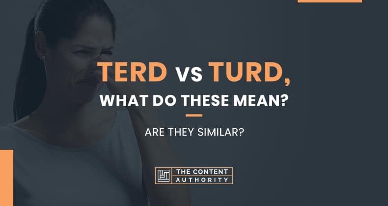Terd Vs. Turd, What Do These Mean? Are They Similar?