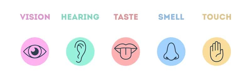 all five senses illustrated