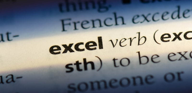excel word in the dictionary