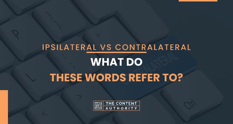Ipsilateral Vs Contralateral, What Do These Words Refer To?