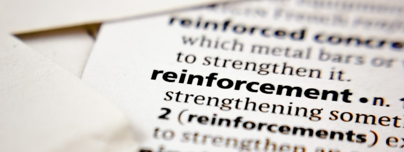 reinforcement word in the dictionary