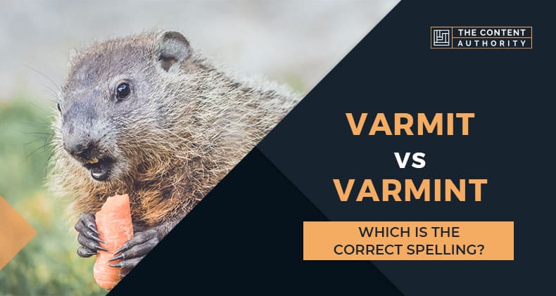 Varmit Vs Varmint: Which Is The Correct Spelling?