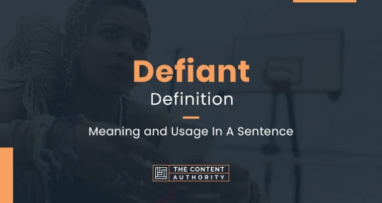 Defiant Definition In Urdu