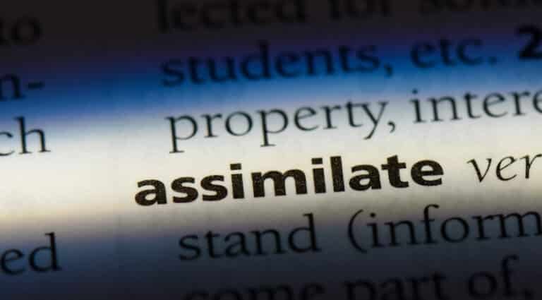 assimilate-definition-meaning-and-usage-in-a-sentence