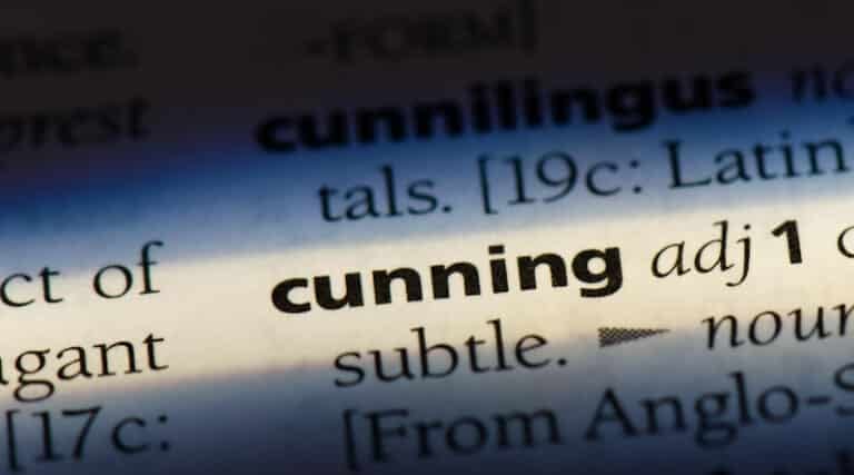 Sentence Using Cunning Example