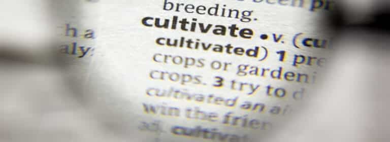 cultivate-definition-meaning-and-usage-in-a-sentence