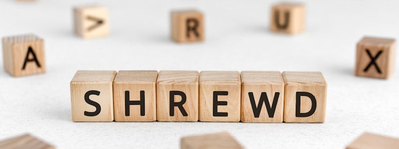 shrewd-definition-meaning-and-usage-in-a-sentence