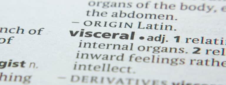 visceral-definition-meaning-and-usage-in-a-sentence