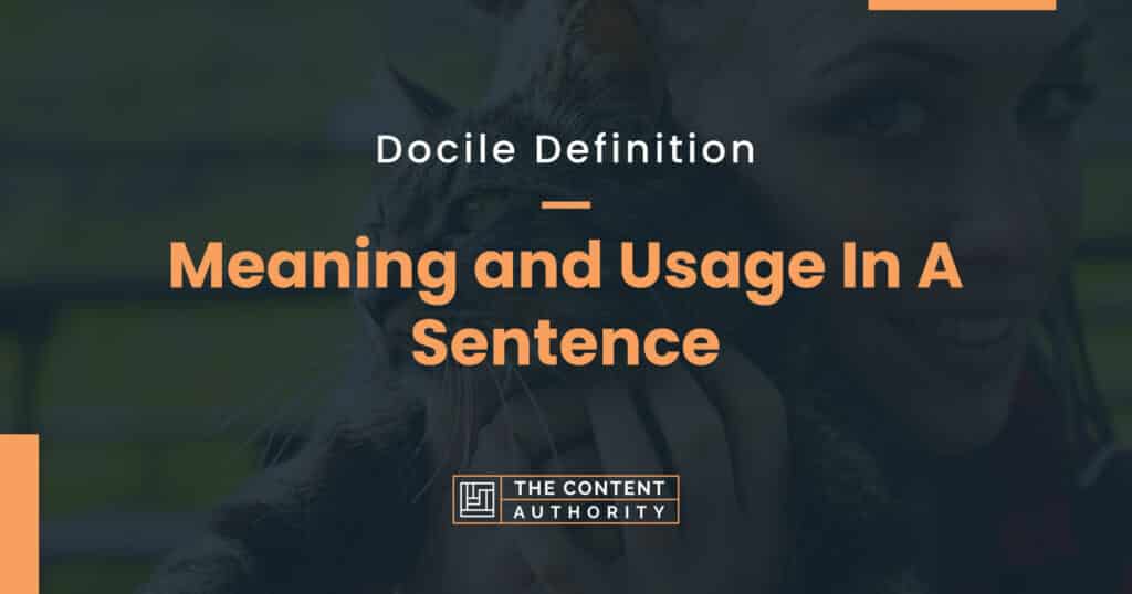 Docile Definition - Meaning and Usage In A Sentence