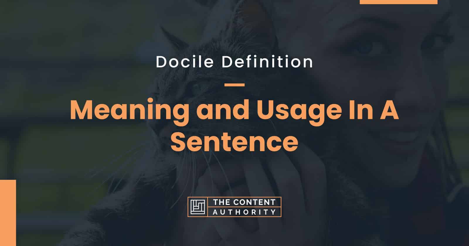 Docile Definition &#8211; Meaning and Usage In A Sentence