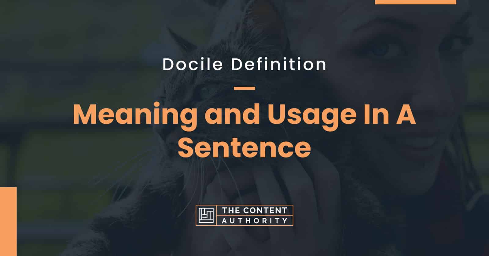 Docile Definition Meaning And Usage In A Sentence