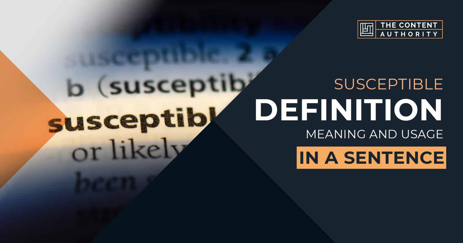 Define Susceptible Meaning In Tamil