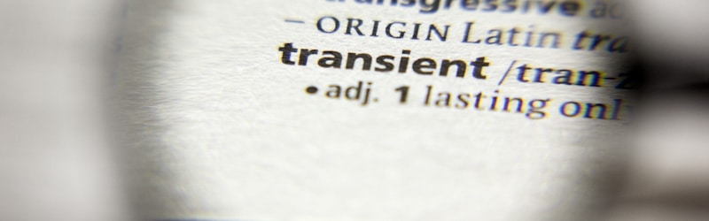 transient dictionary word