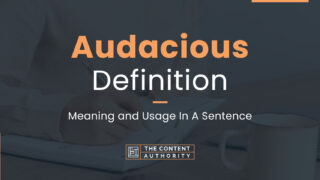 Audacious Definition &#8211; Meaning And Usage In A Sentence