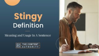 Stingy Definition &#8211; Meaning and Usage In A Sentence