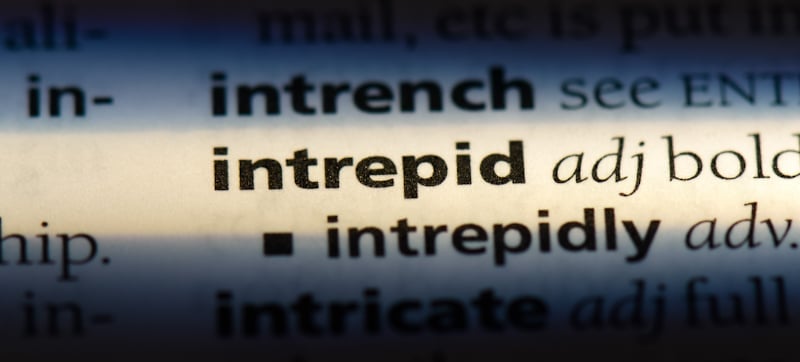 intrepid definition in dictionary