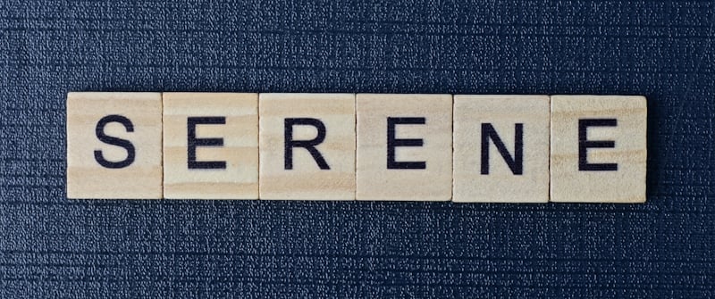 Simple Sentences With The Word Serene