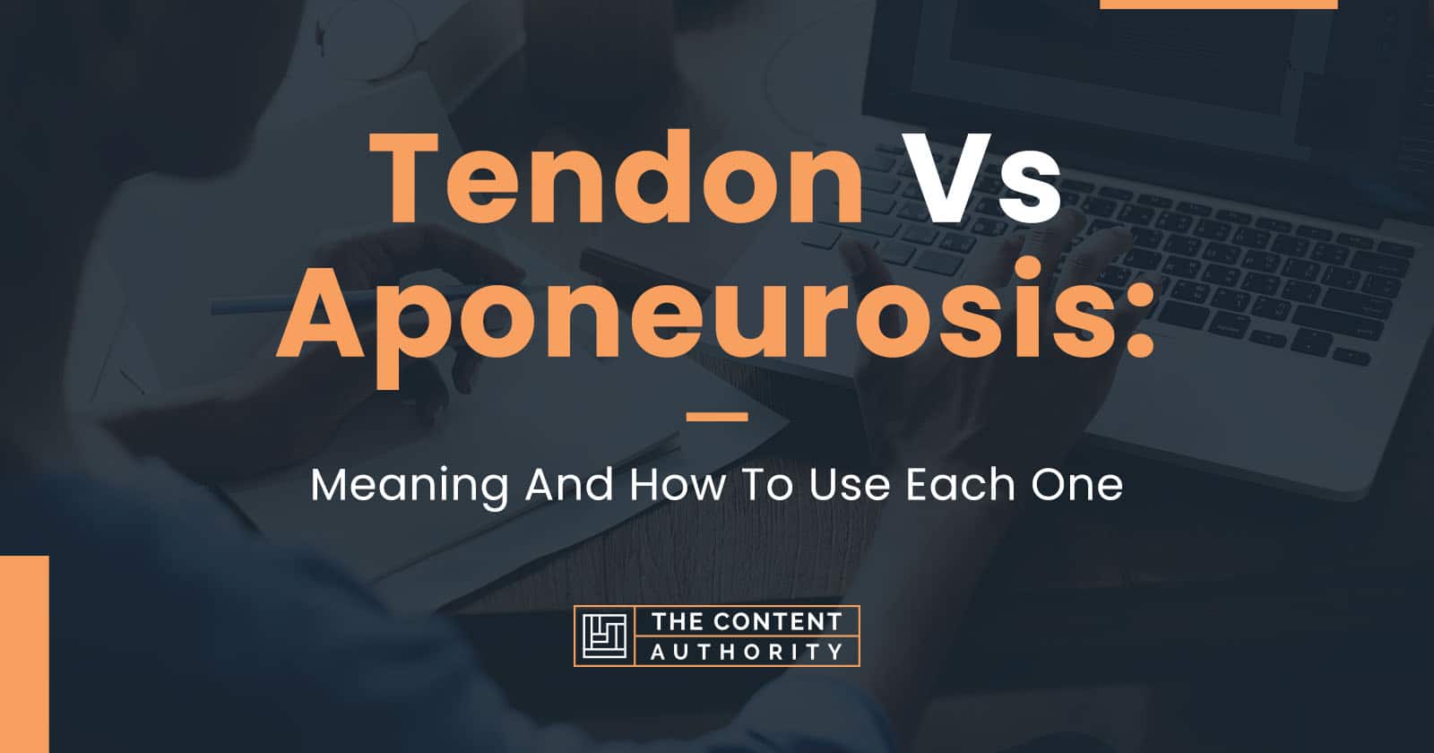 tendon-vs-aponeurosis-meaning-and-how-to-use-each-one