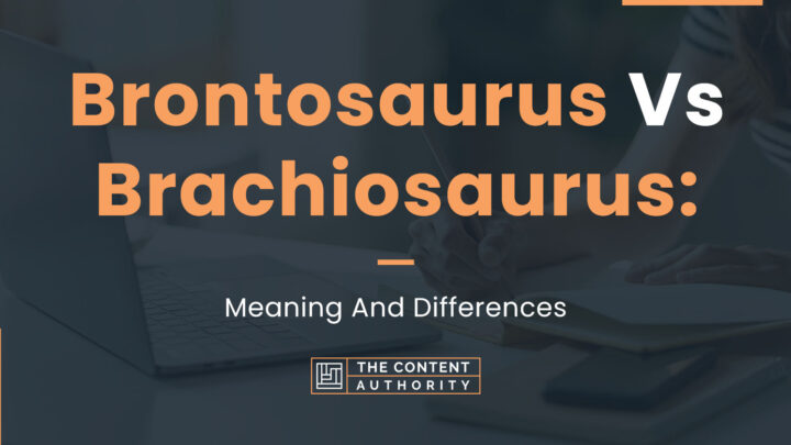 Brontosaurus Vs. Brachiosaurus: Meaning And Differences