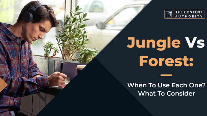 Jungle Vs Forest: When To Use Each One? What To Consider