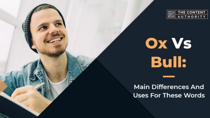 Ox Vs Bull: Main Differences And Uses For These Words