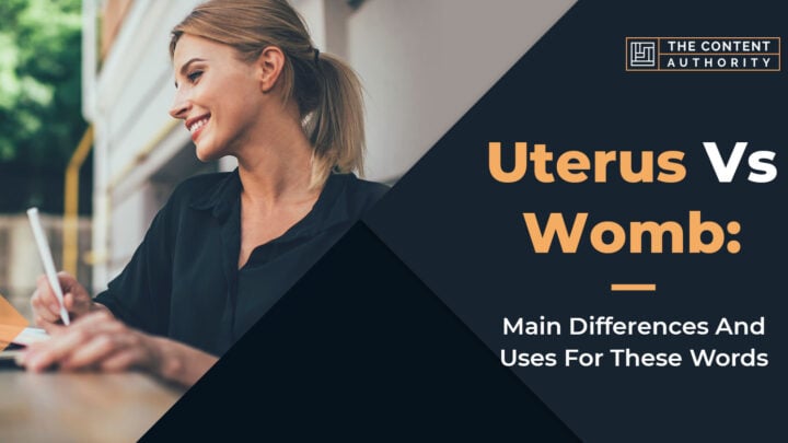 Uterus Vs. Womb: Main Difference And Uses For These Words