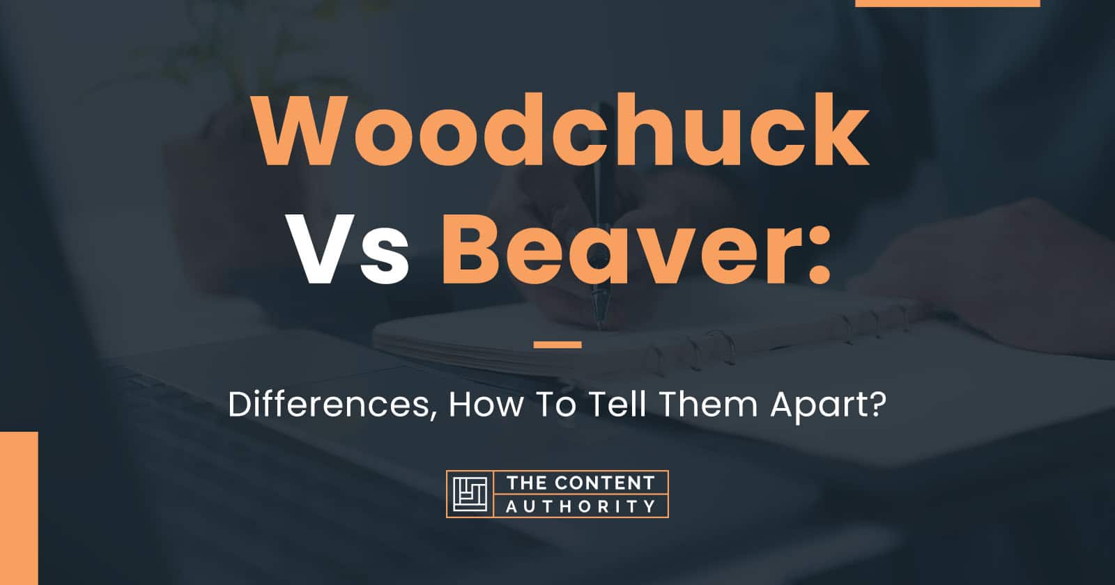 Woodchuck Vs. Beaver: Differences, How To Tell Them Apart?