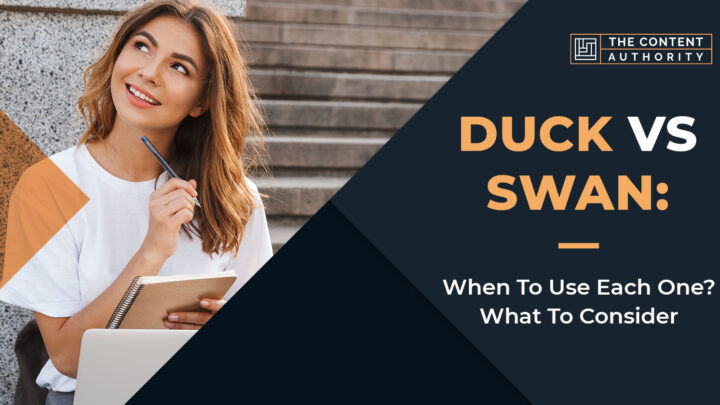 Duck Vs. Swan: When To Use Each One? What To Consider