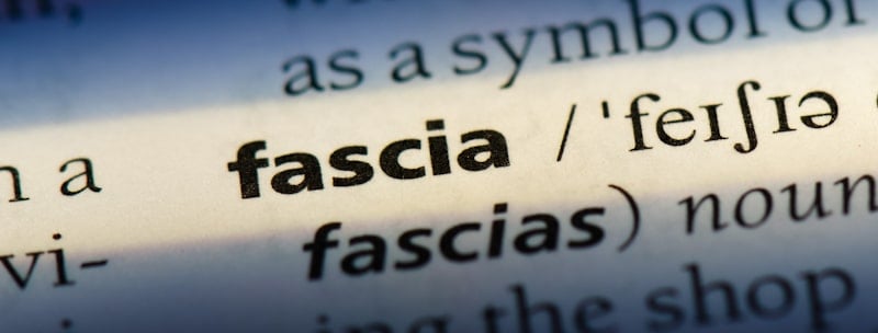 fascia dictionary