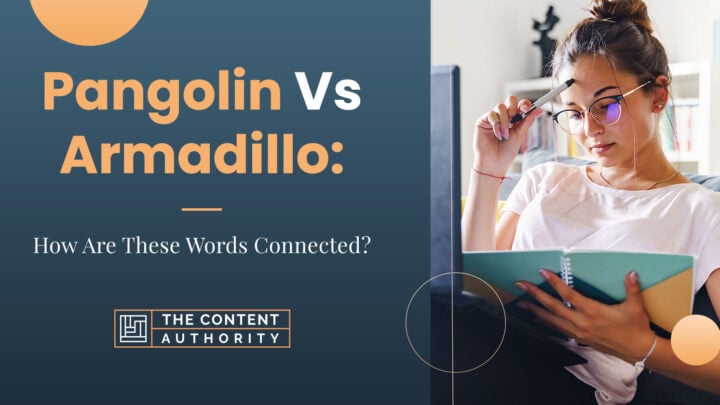 Pangolin Vs Armadillo: How Are These Words Connected?