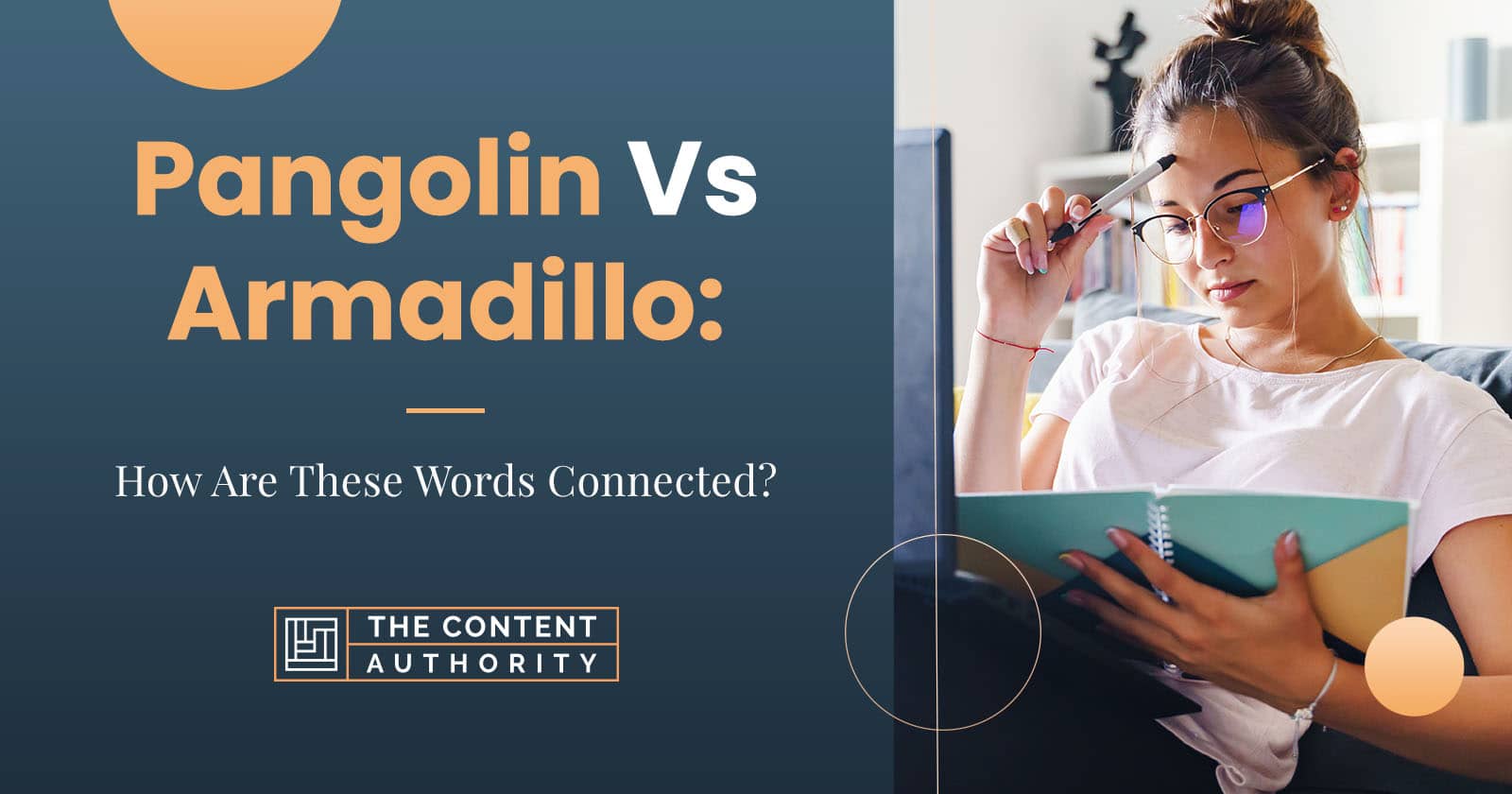 Pangolin Vs Armadillo: How Are These Words Connected?