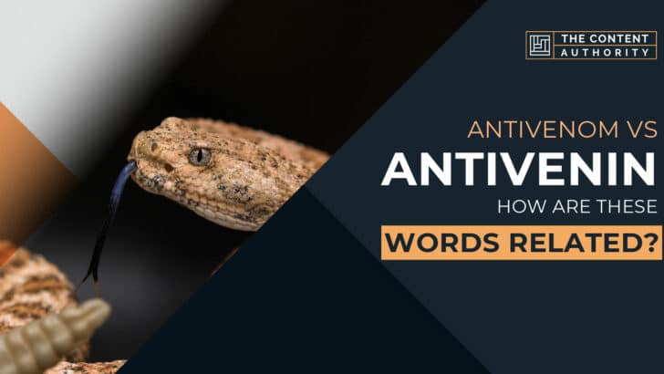 Antivenom vs Antivenin: How Are These Words Related?