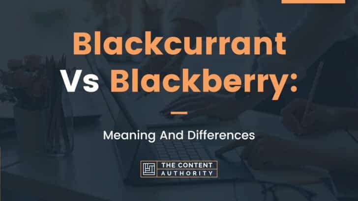 Blackcurrant Vs Blackberry: Meaning And Differences
