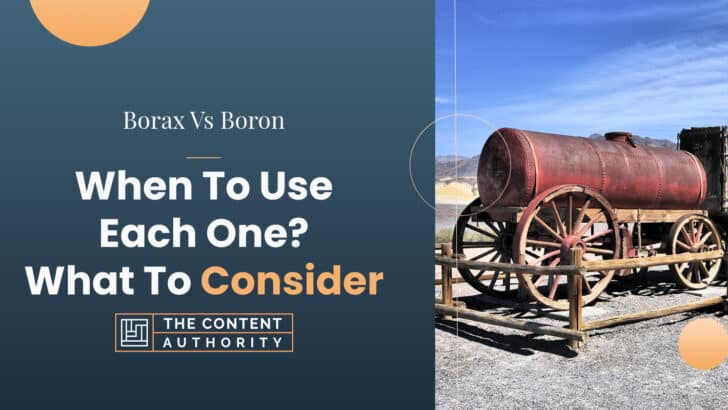 Borax Vs Boron: When To Use Each One? What To Consider