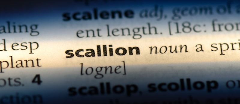 scallion dictionary