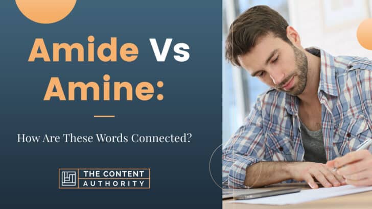Amide Vs. Amine: How Are These Words Connected?