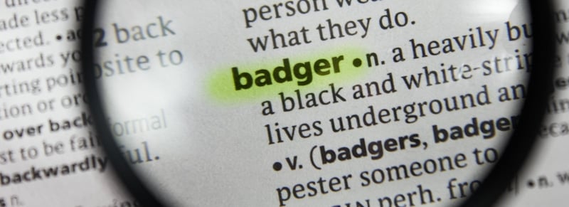 badger definition