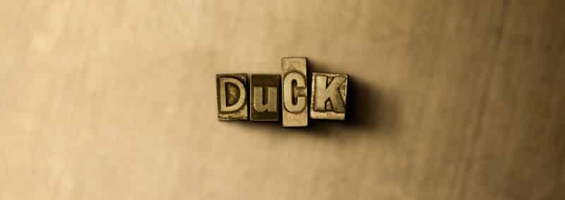 duck word