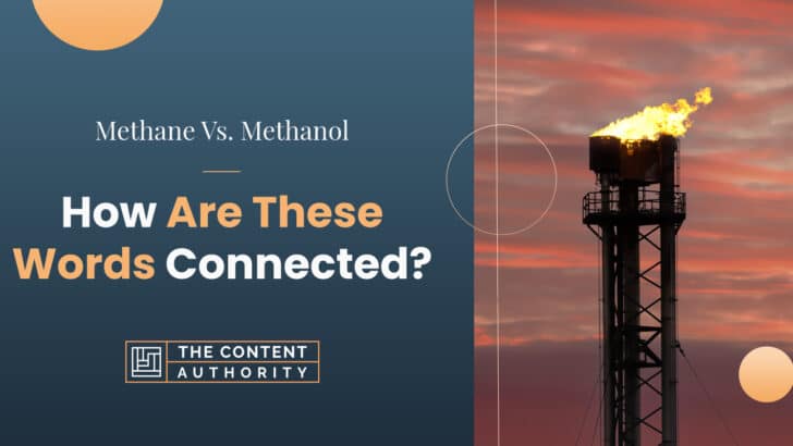 Methane Vs. Methanol: How Are These Words Connected?