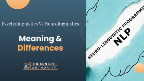 Psycholinguistics Vs. Neurolinguistics: Meaning & Differences