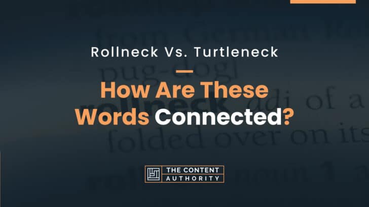 Rollneck Vs. Turtleneck: How Are These Words Connected?