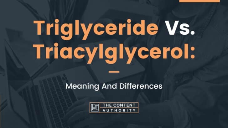 triglyceride vs triacylglycerol
