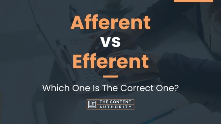 Afferent vs Efferent: Which One Is The Correct One?