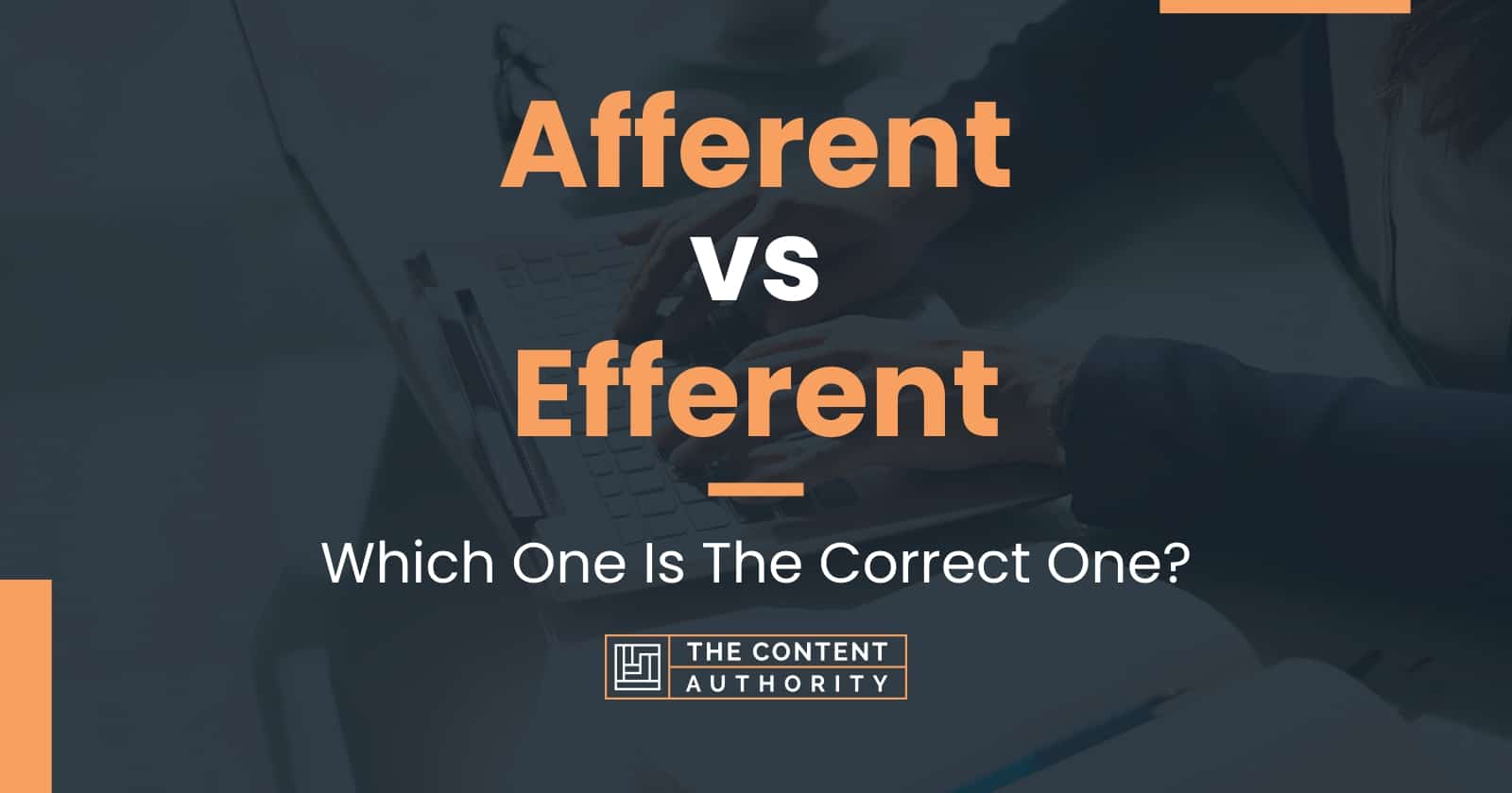 Afferent vs Efferent: Which One Is The Correct One?