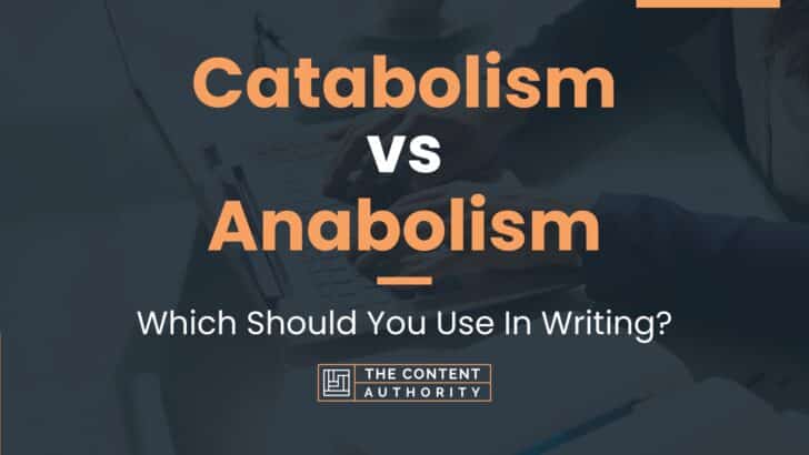 Catabolism vs Anabolism: Which Should You Use In Writing?