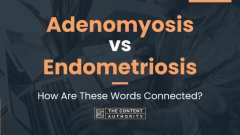 Adenomyosis vs Endometriosis: How Are These Words Connected?