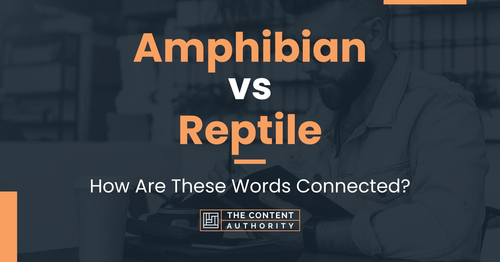 Amphibian vs Reptile: How Are These Words Connected?